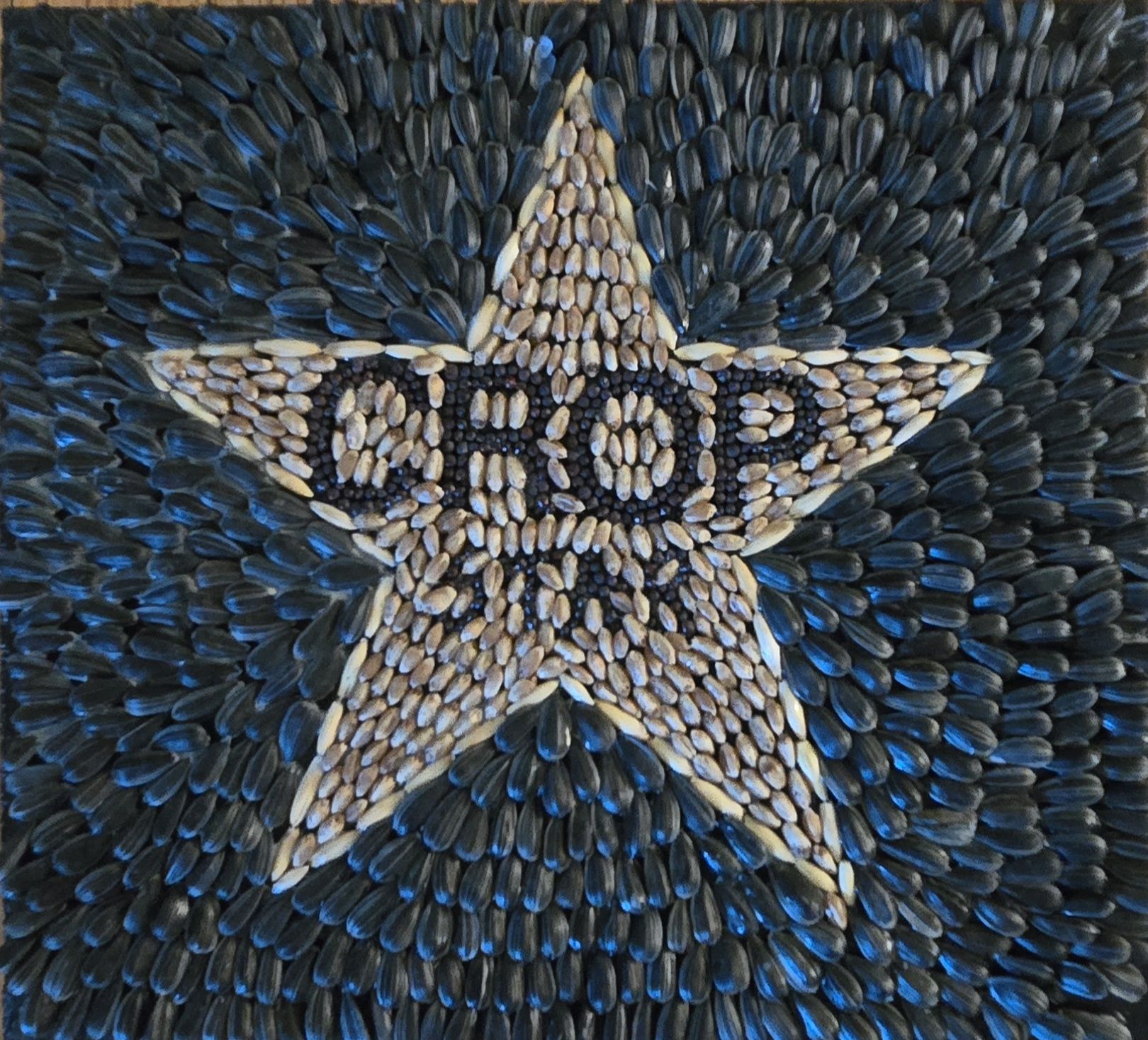 [Marta Shore Crop Star image]